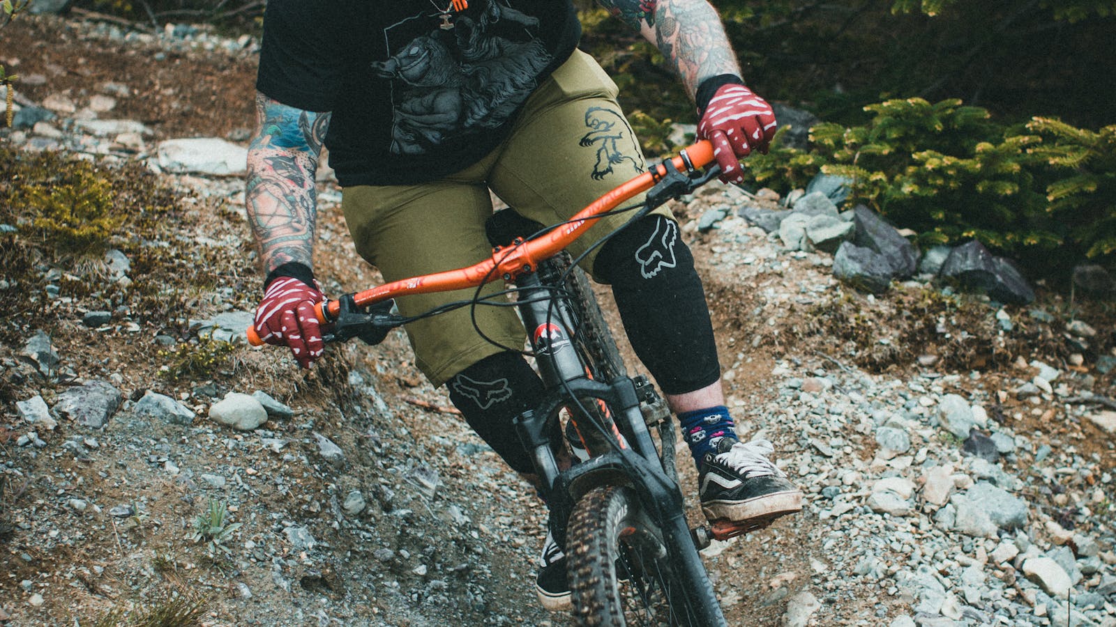 Mountain biker riding a trail through a lush green forest