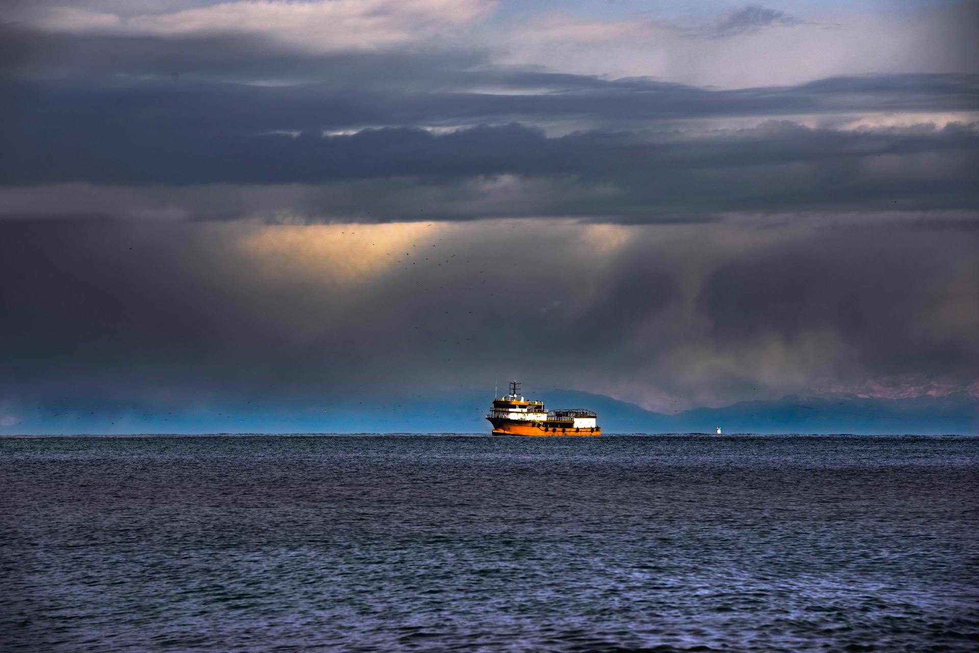 A cargo ship at sea under dramatic skies — a nod to twenty years of shipping software